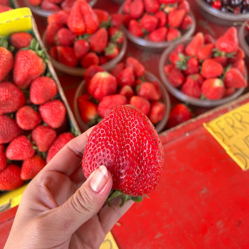 Meet your Posher, Julie